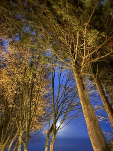 Chambre vue sur prairie