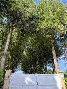 Chambre confortable avec vue sur jardin